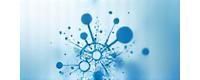 BioSphere Labs Logo